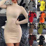 High Neck Slim Bodycon Mini Dress Partywear - ExquisiteElla