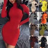 High Neck Slim Bodycon Mini Dress Partywear - ExquisiteElla