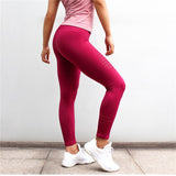 Brand New Women Seamless Tummy Control Yoga Pants - ExquisiteElla