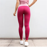 Brand New Women Seamless Tummy Control Yoga Pants - ExquisiteElla